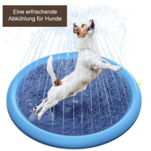 Hunde Wasserspielmatte