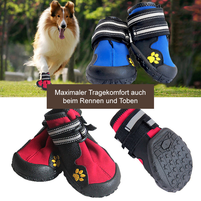 Pfotenschutz Hundeschuhe - Image 2