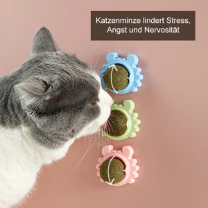 Premium Katzenminze Ball mit Befestigung
