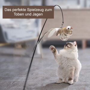 Spiel und Spaß Katzenangel